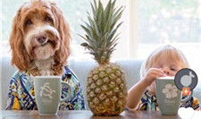 拍美短视频,捕捉生活瞬间，展现独特风采